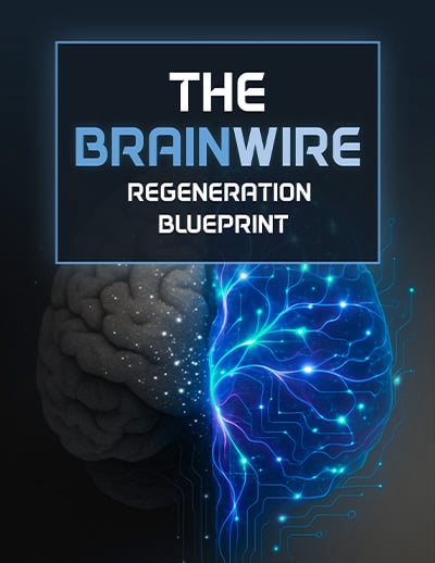 Bonus #2: The Brainwire Regeneration Blueprint